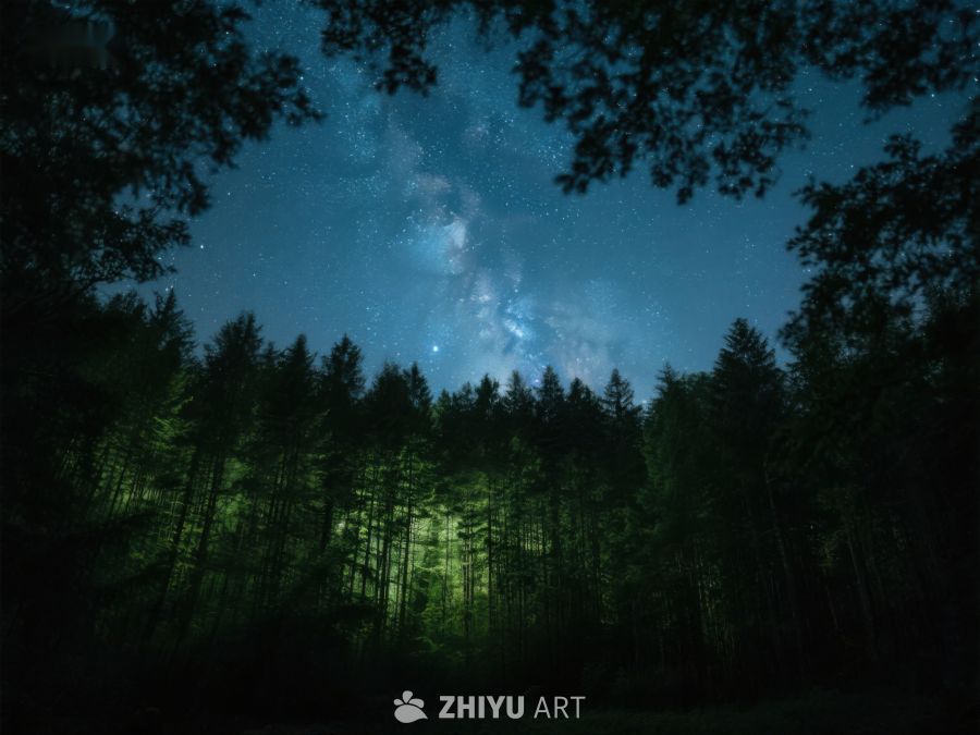 夜空下的森林与银河 374