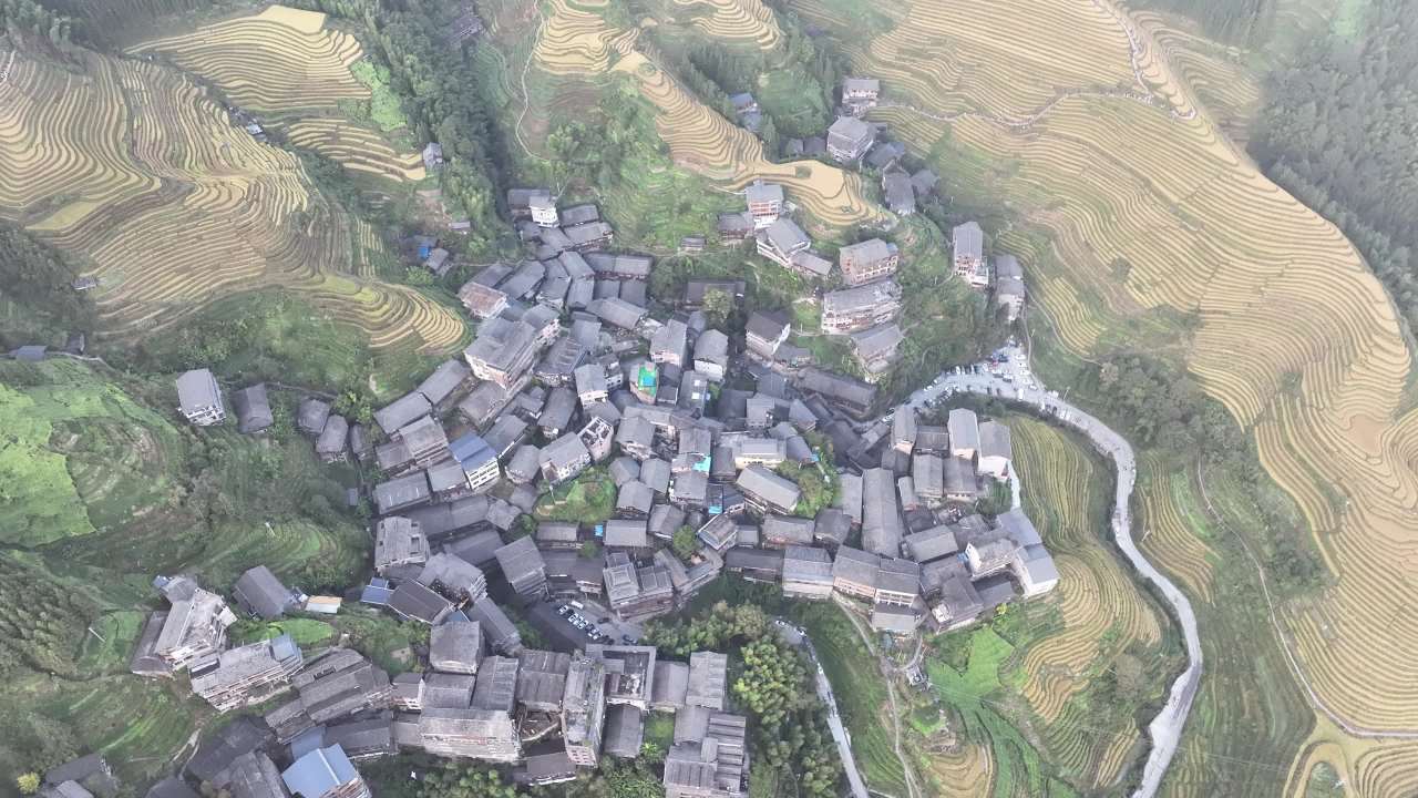 4K航拍桂林龙脊梯田风光 12