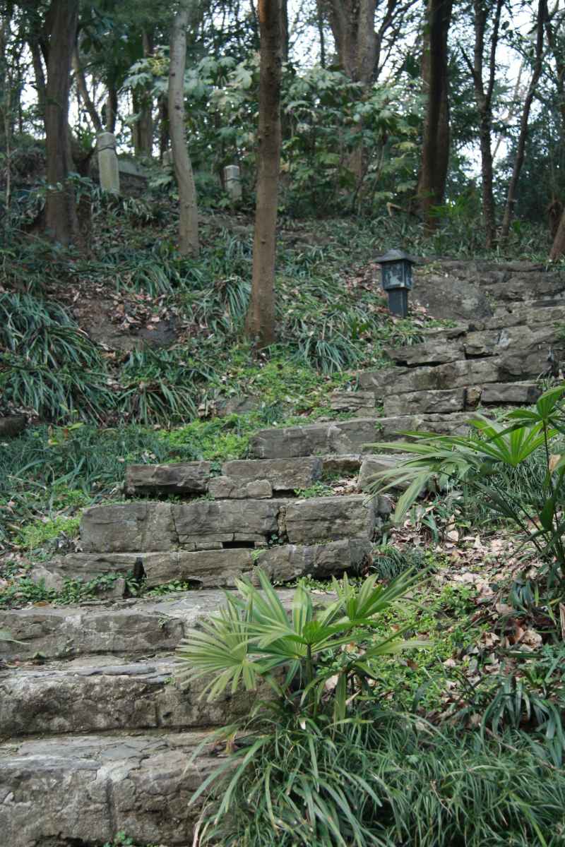 山中小路