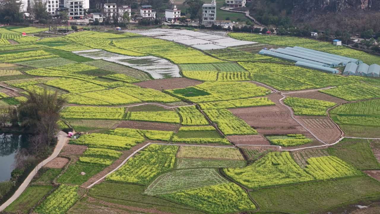 乡村田野风光