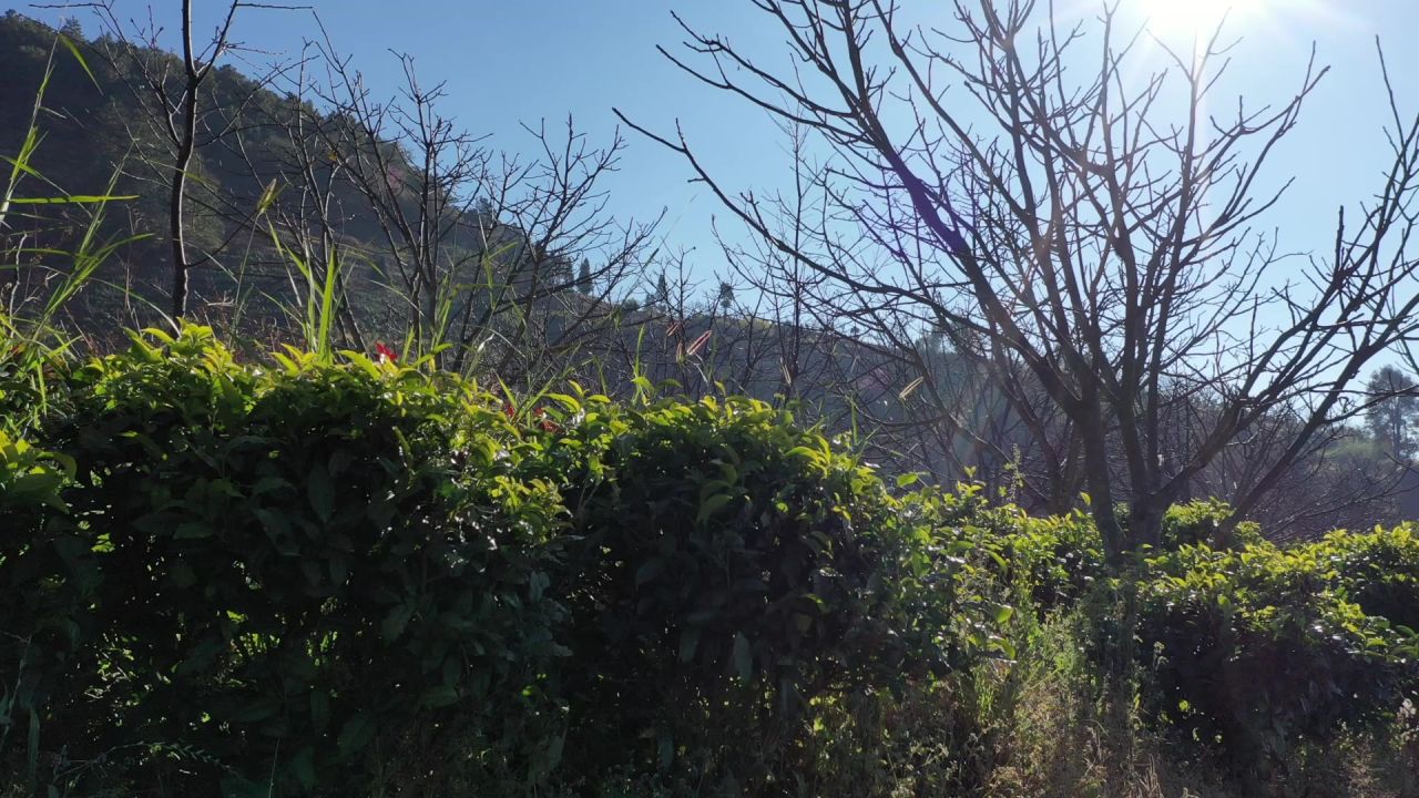 村庄航拍 32