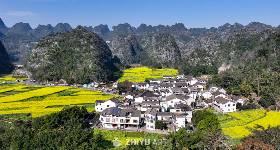 金色田园风光  油菜花海与村落 2