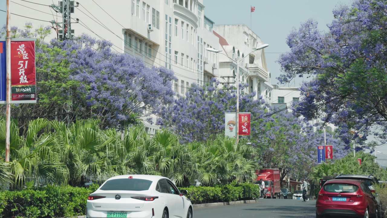 紫花盛开的城市街景