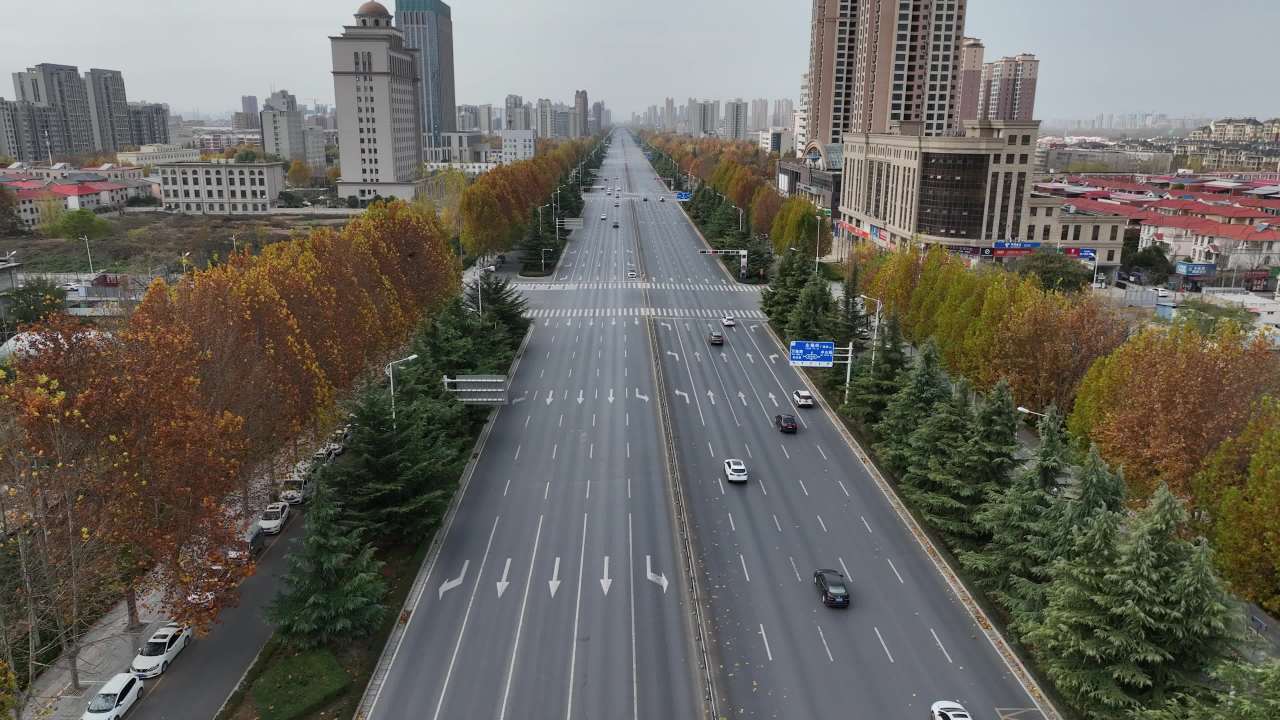 城市秋日街道全景