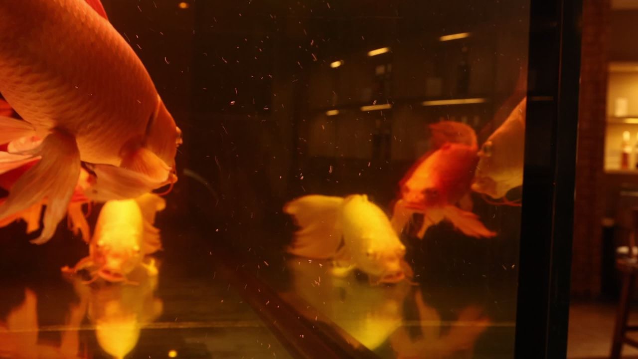 酒庄