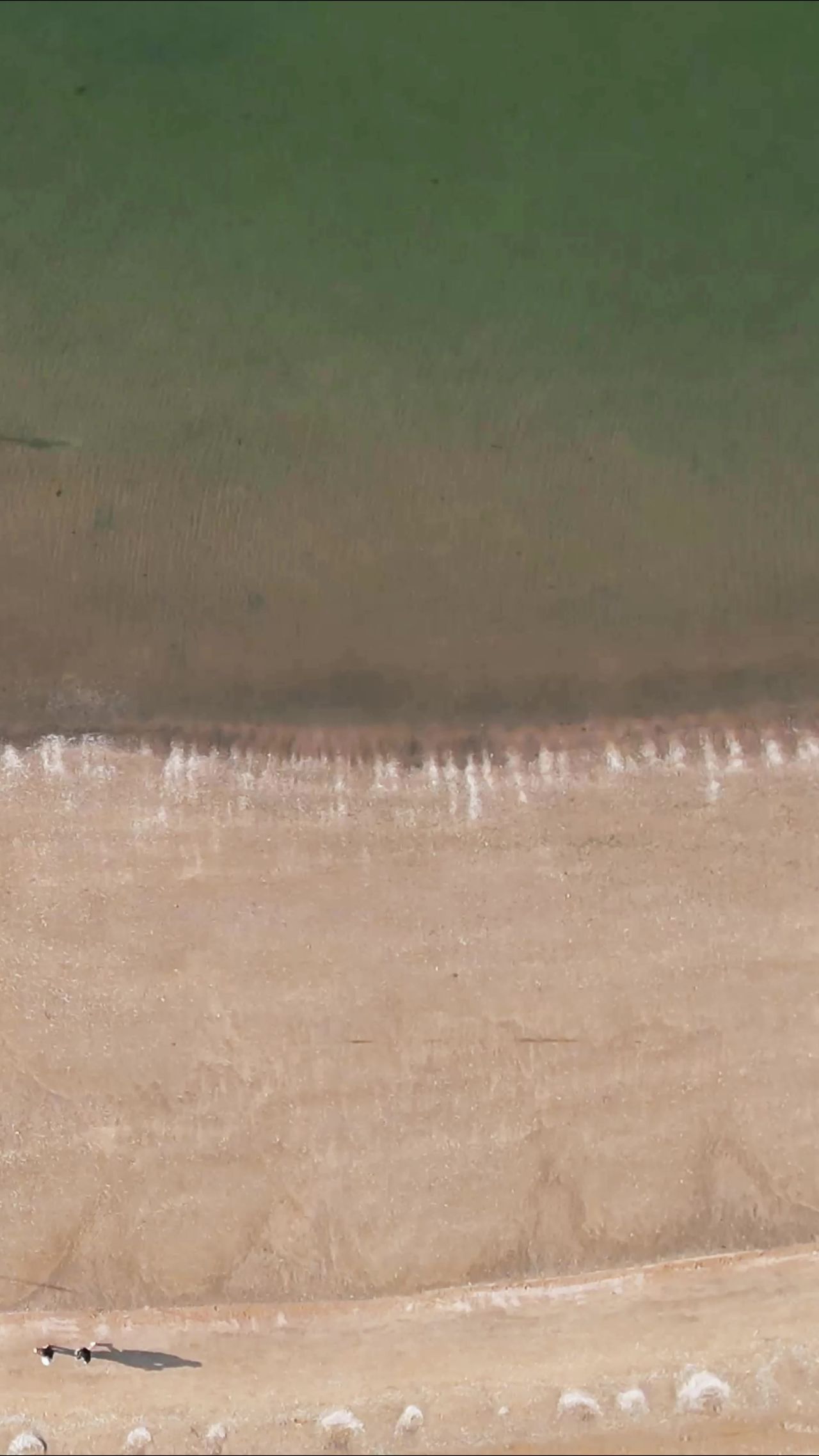 俯拍大海海浪沙滩海鸥竖屏  