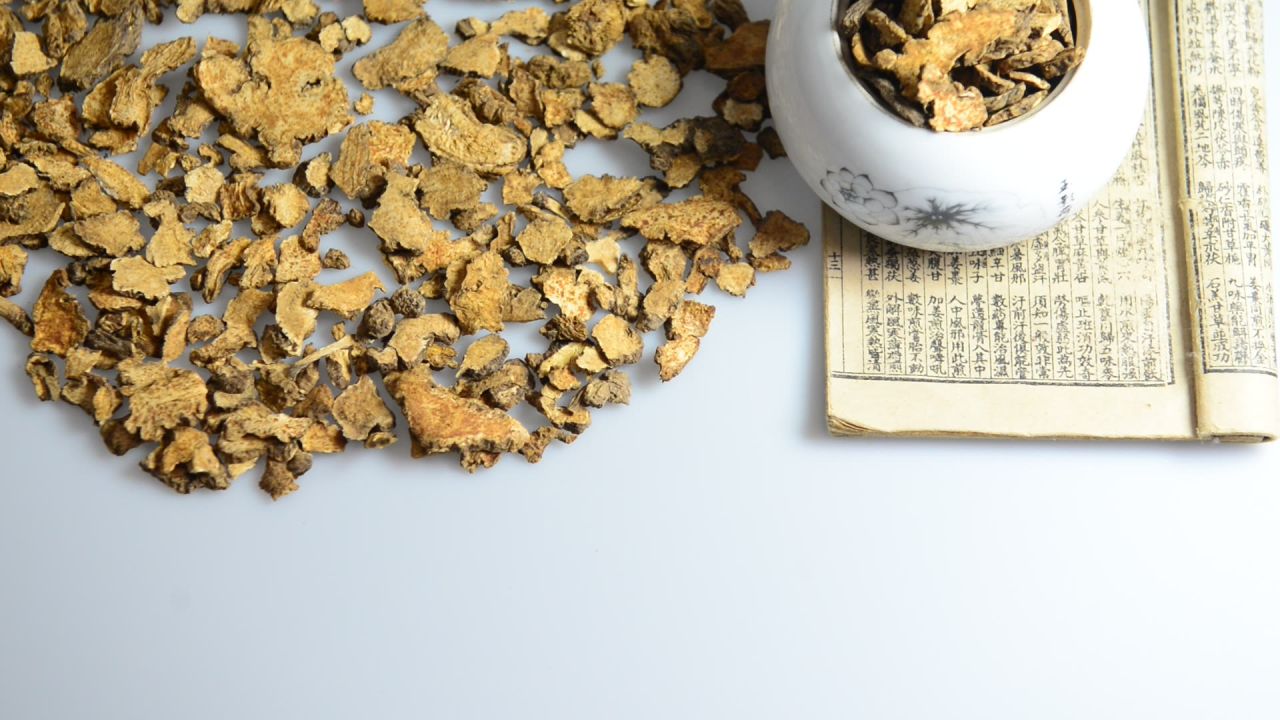 中药材苍术 3