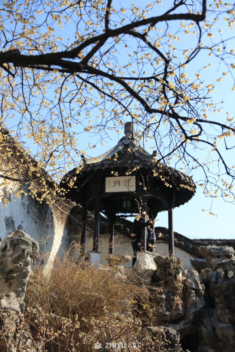 月近亭子