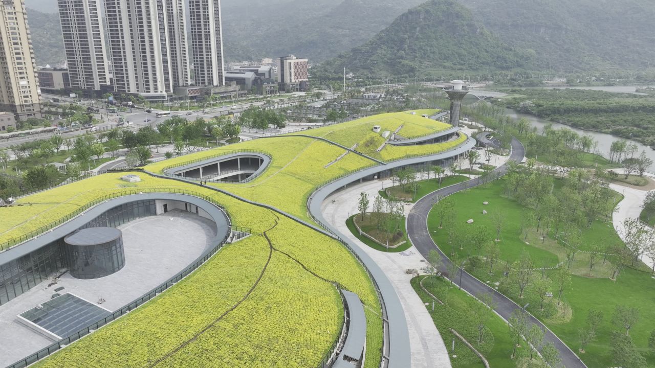 温州三垟湿地东入口航拍景观 3