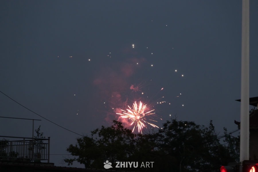夜空绽放的烟花