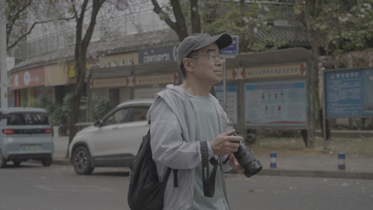 紫荆花 13
