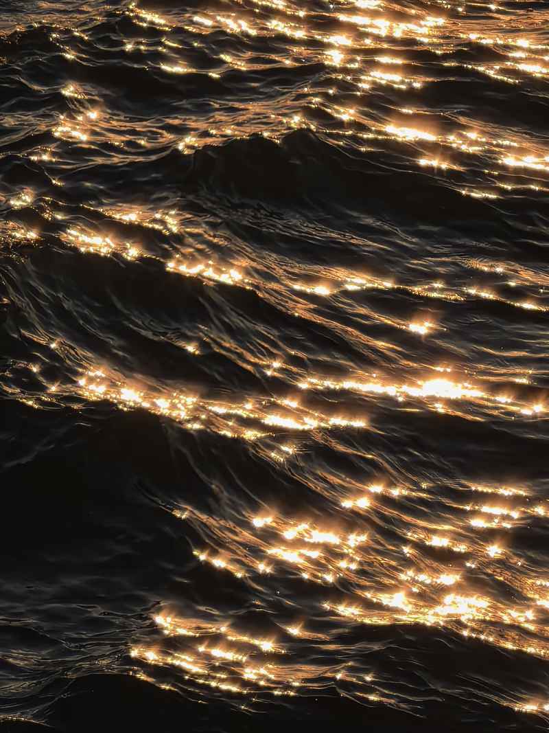 海的星芒