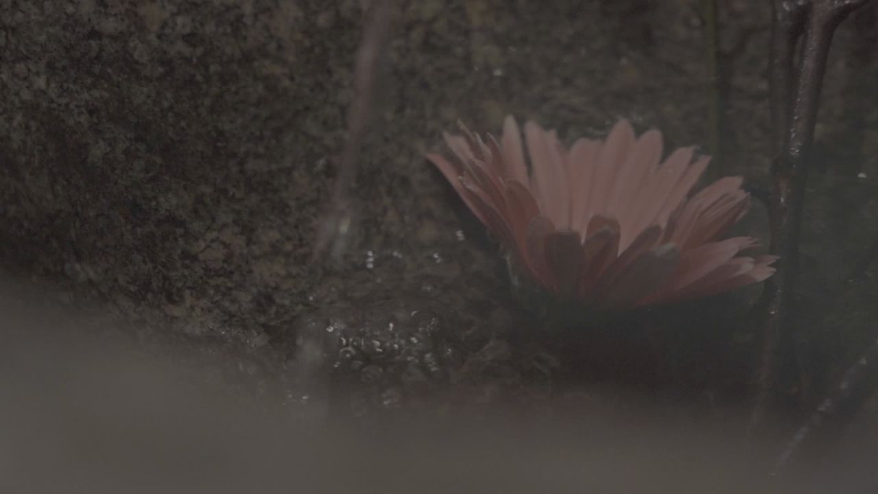 茶馆 17