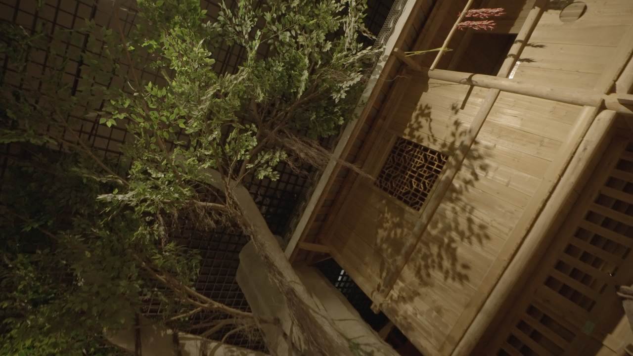 博物馆 1