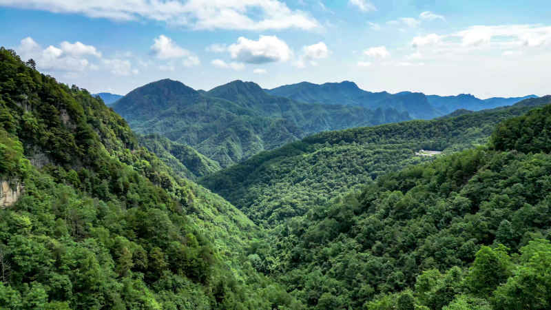 湖北神农架天燕景区