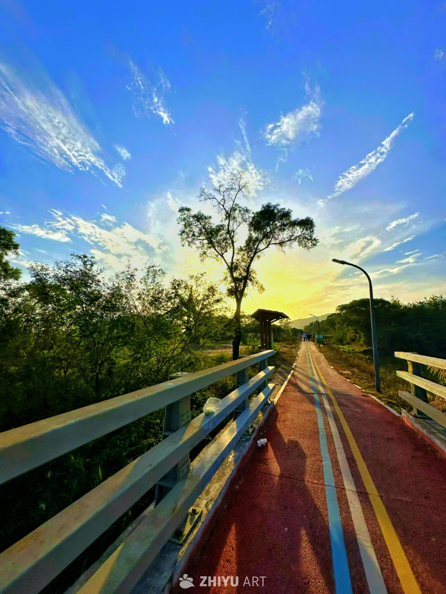 夕阳下的静谧之路