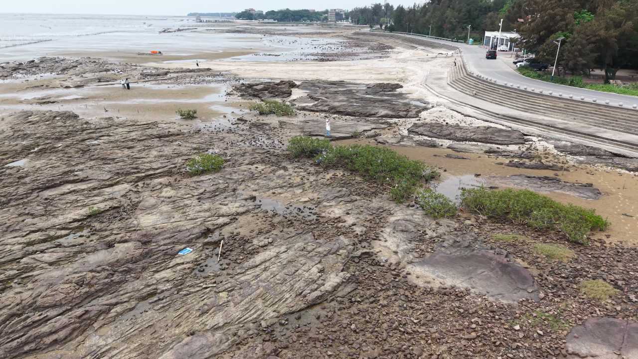 沙滩 15