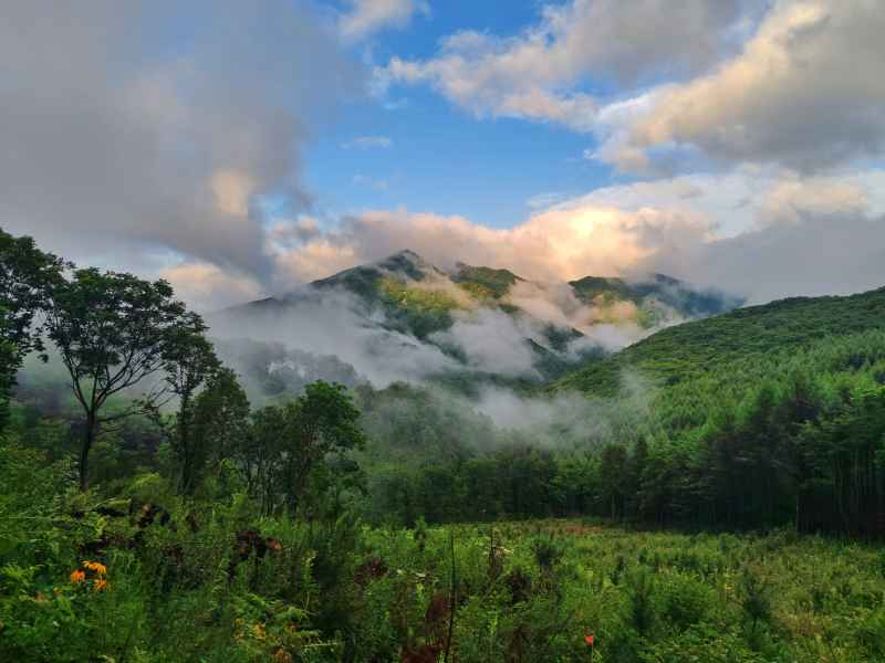 夏天 高山 云雾缭绕 天空 航拍 云雾飘渺 人间仙境 