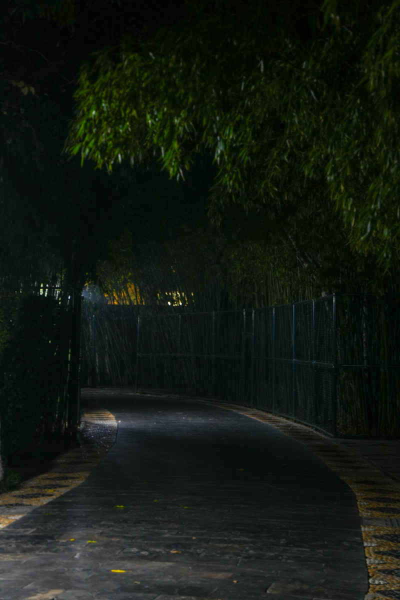夜晚的公园 5