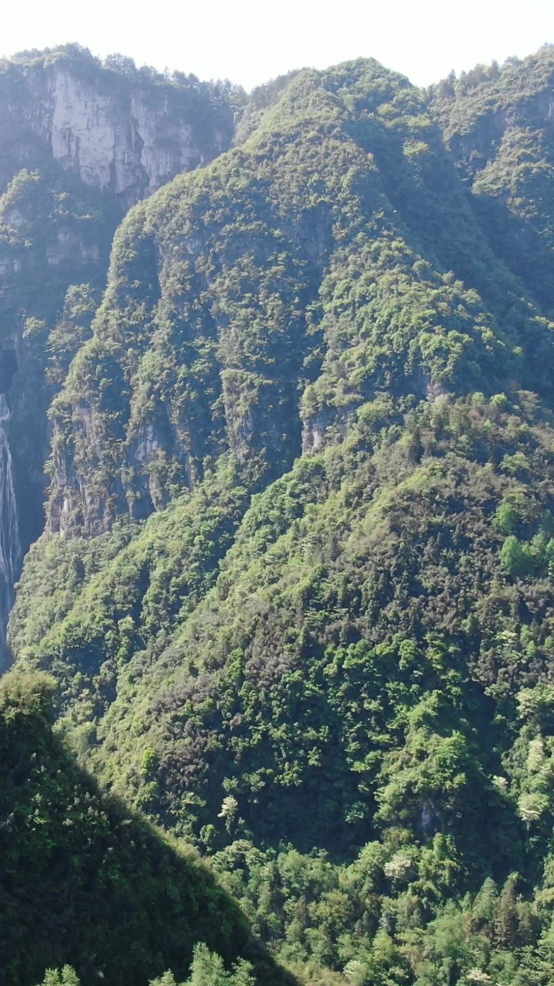  自然风光山川森林竖屏航拍