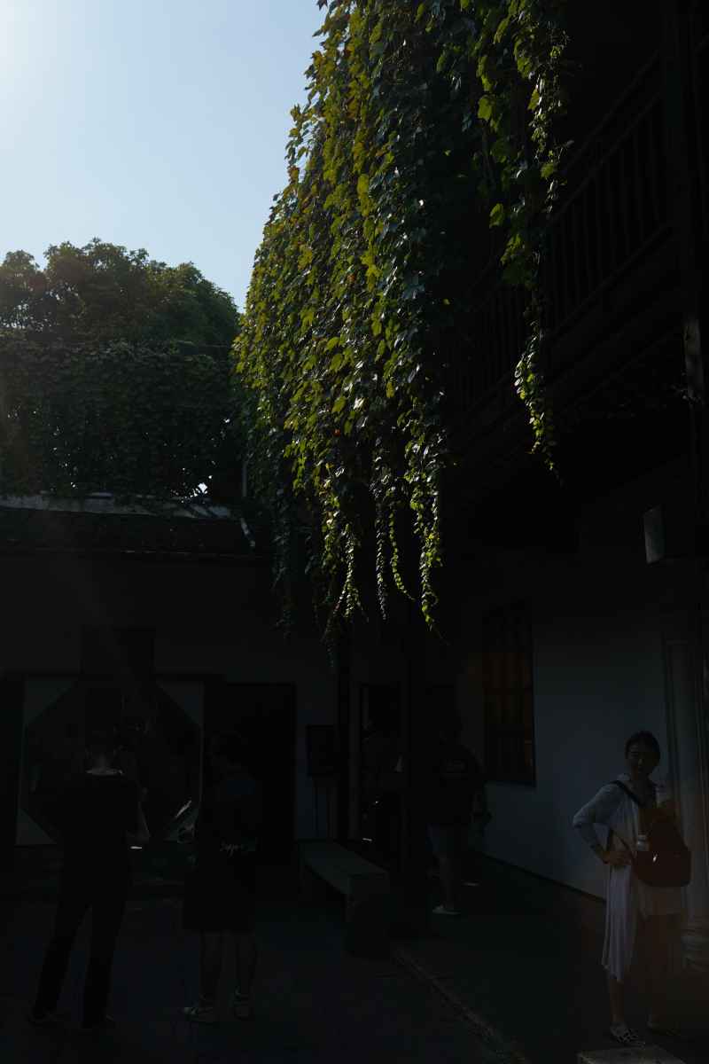 绍兴 6