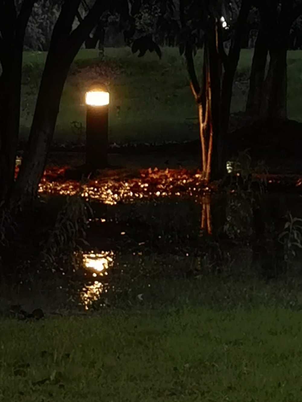 灯影