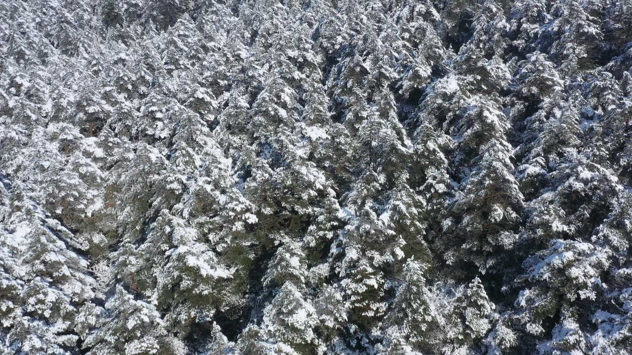 航拍峨眉山山谷雪景
