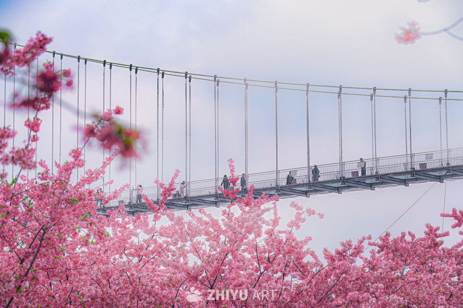 春色吊桥