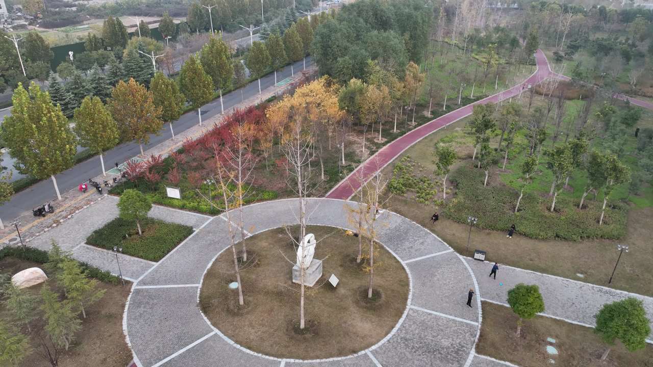 秋日公园航拍