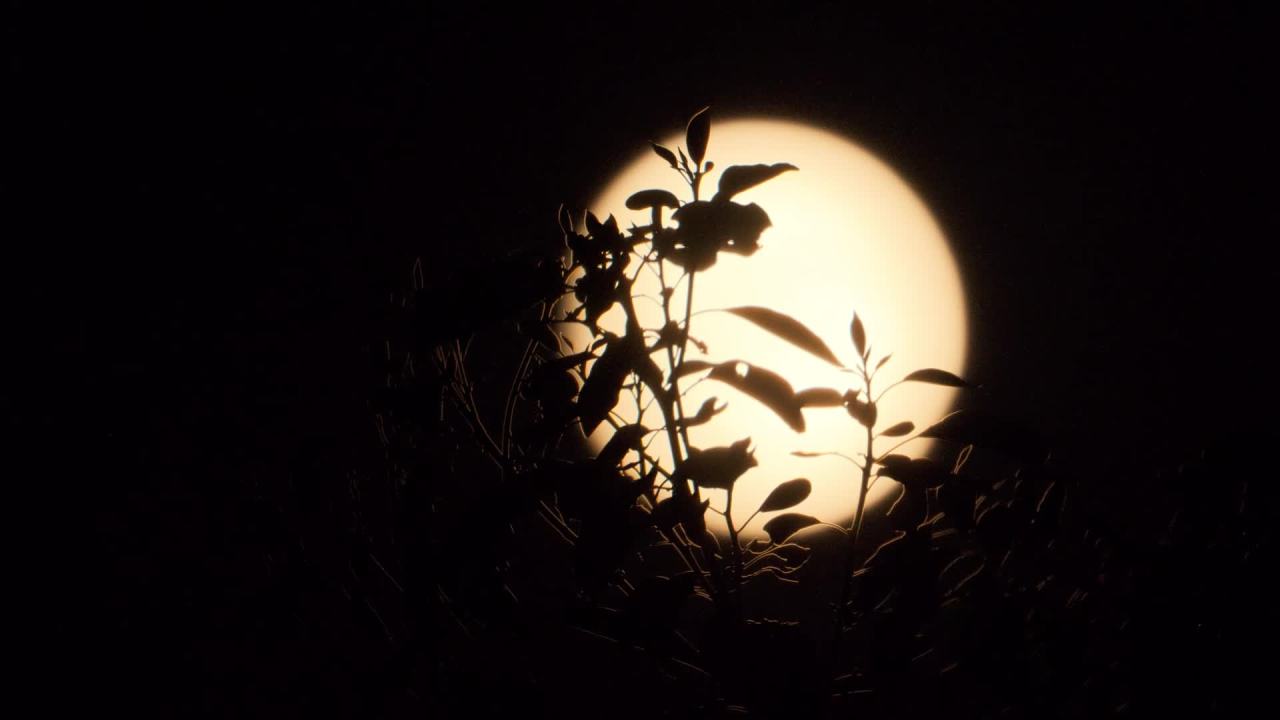深夜玩天空月亮月球皎洁明月中秋满月 21