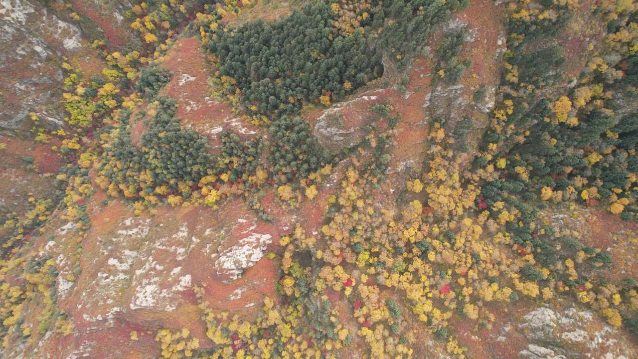 航拍秋季山林迷幻色彩