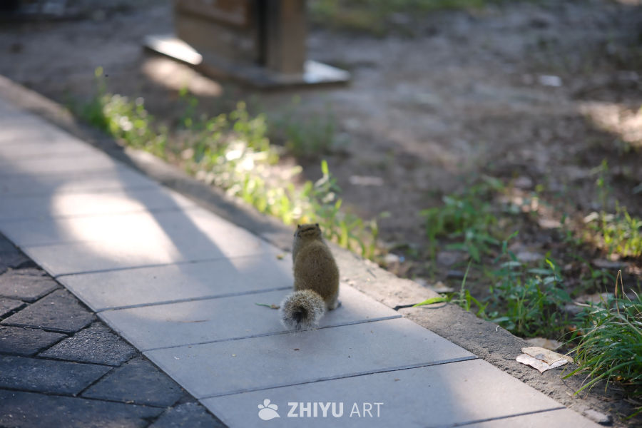 陶然亭 14