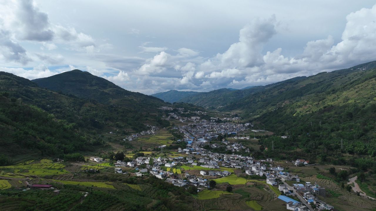 丰收的喜悦 50
