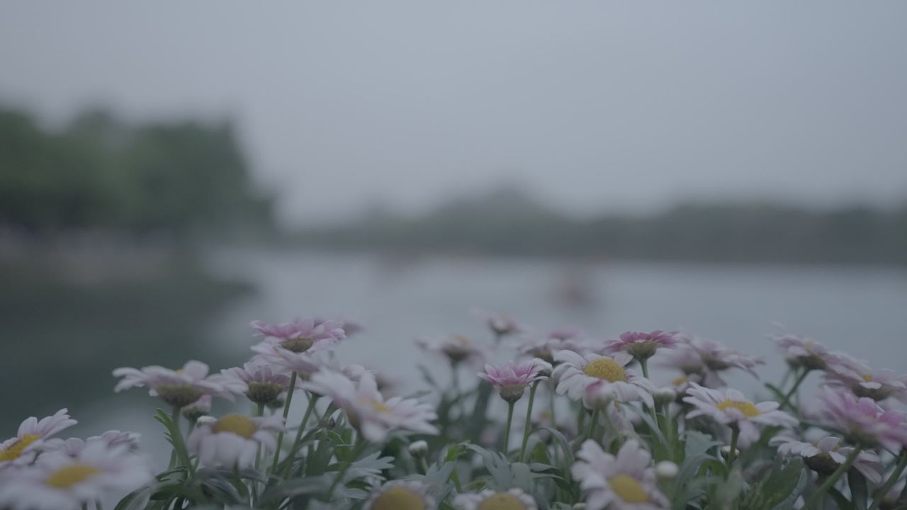 桂林 17