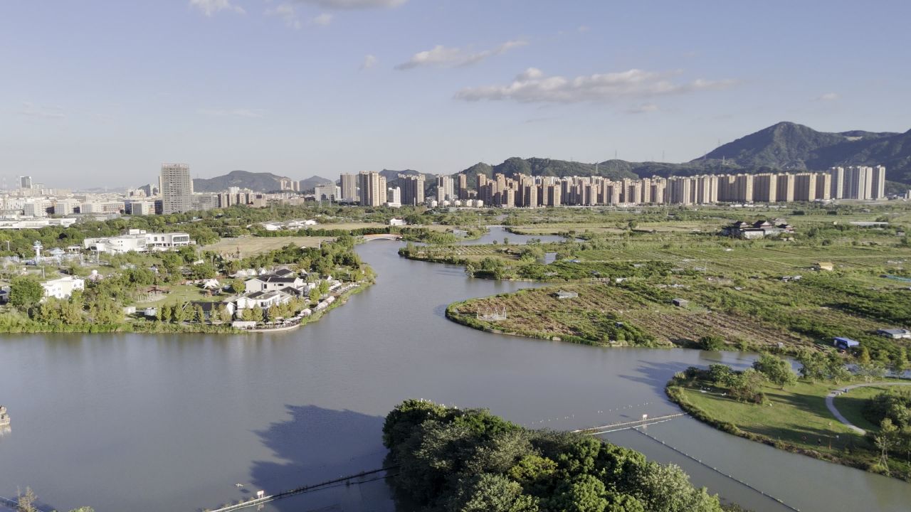 温州三垟湿地风光 10