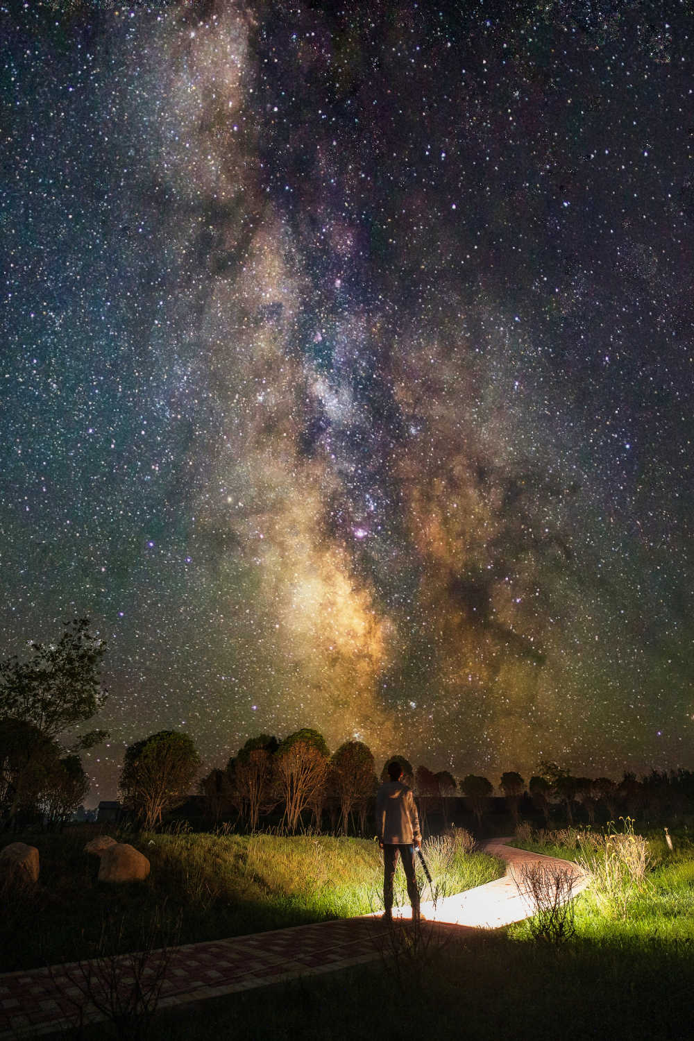 星空下仰望