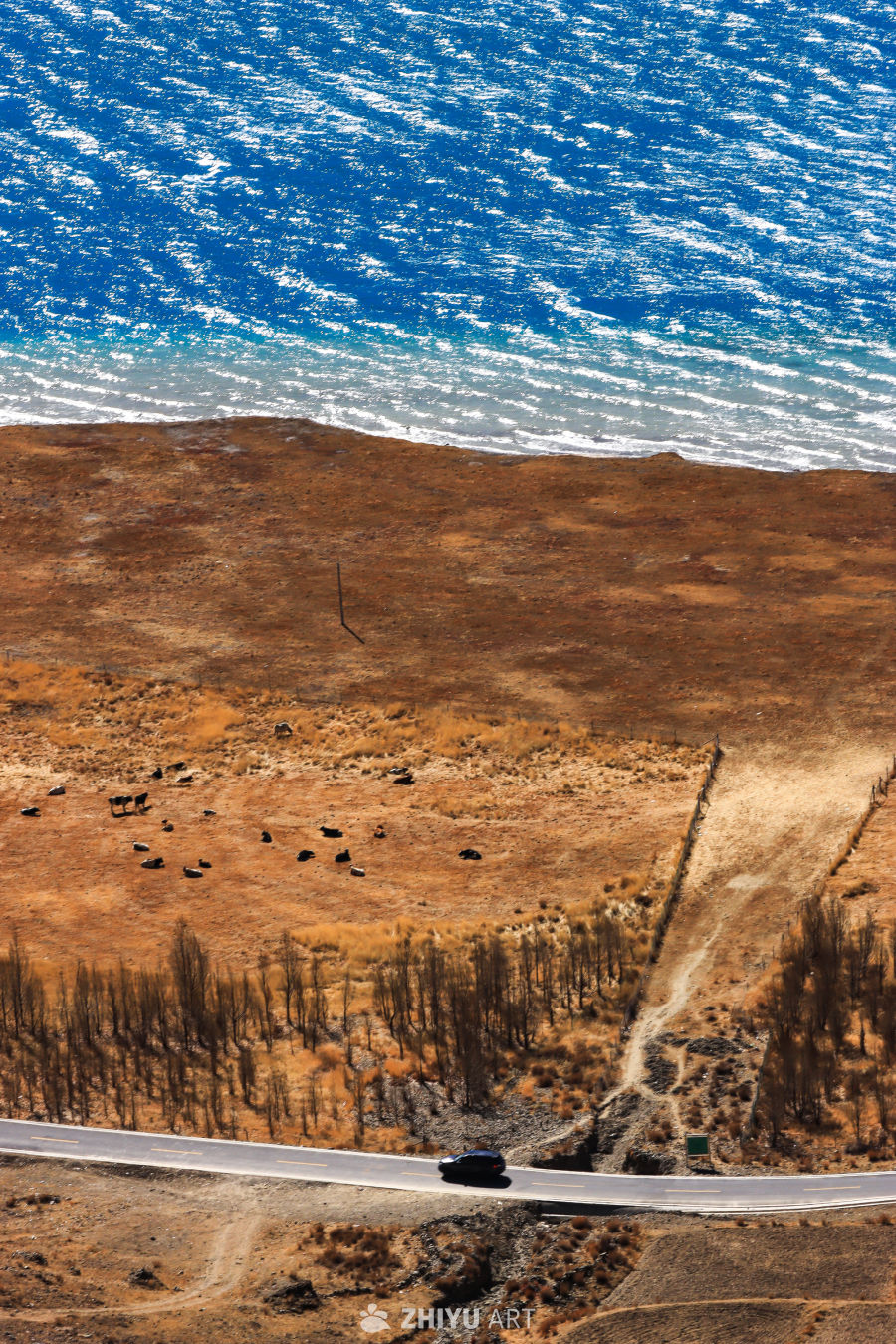 高空俯瞰：海与陆的交界
