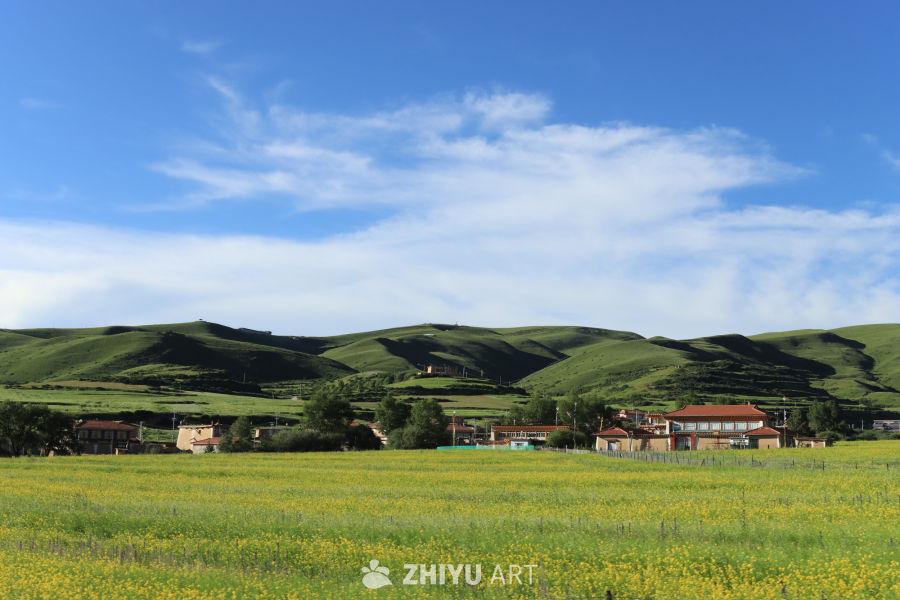 草原上的宁静小村