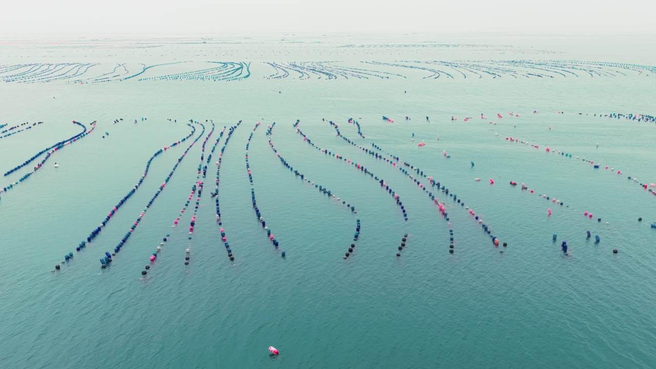 航拍长海岛港口码头