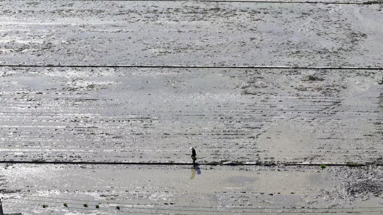立秋浓忙 3