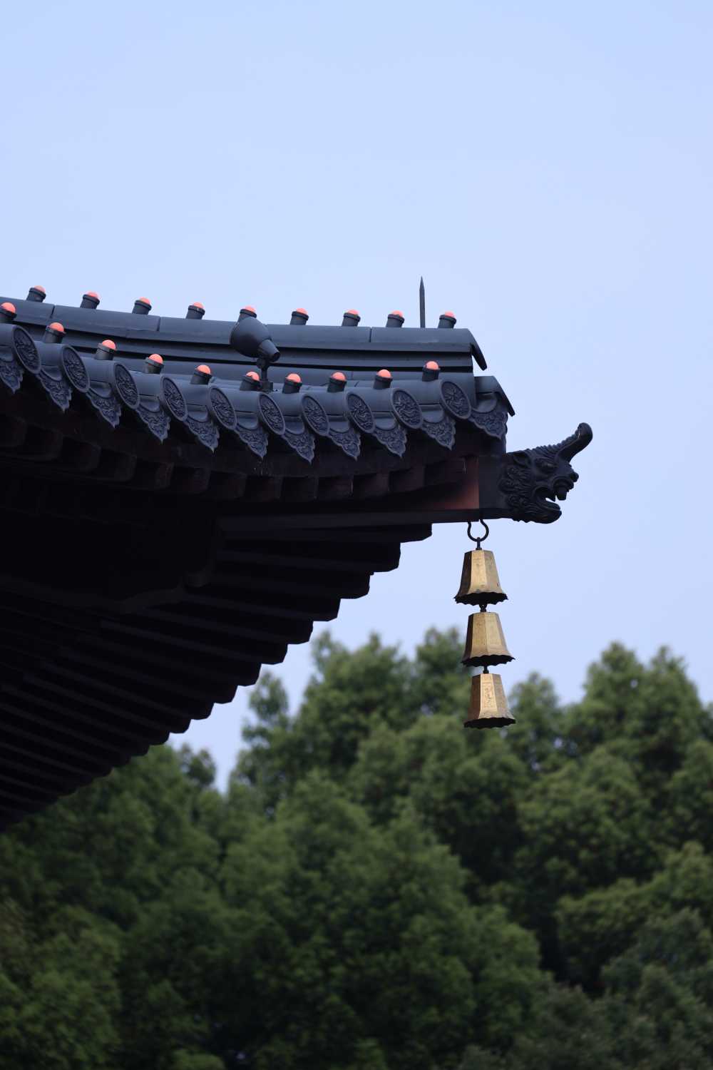 杂乱无章