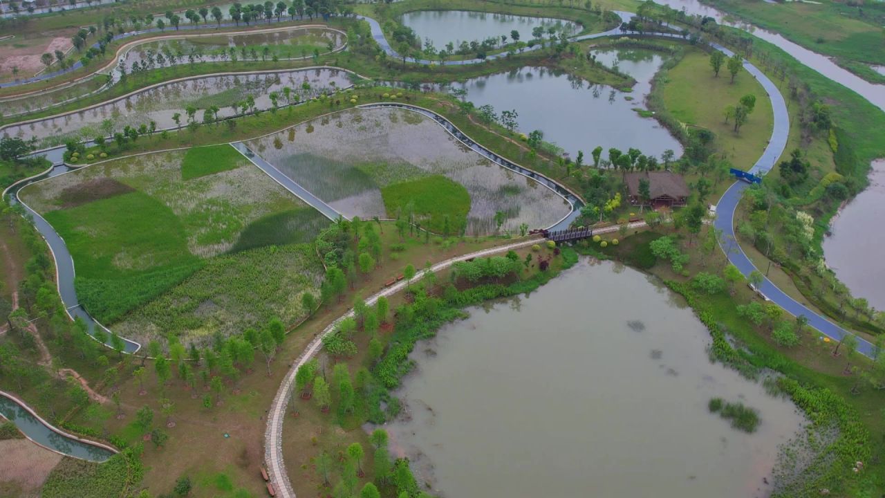 航拍厦门马銮湾双溪湿地公园 11