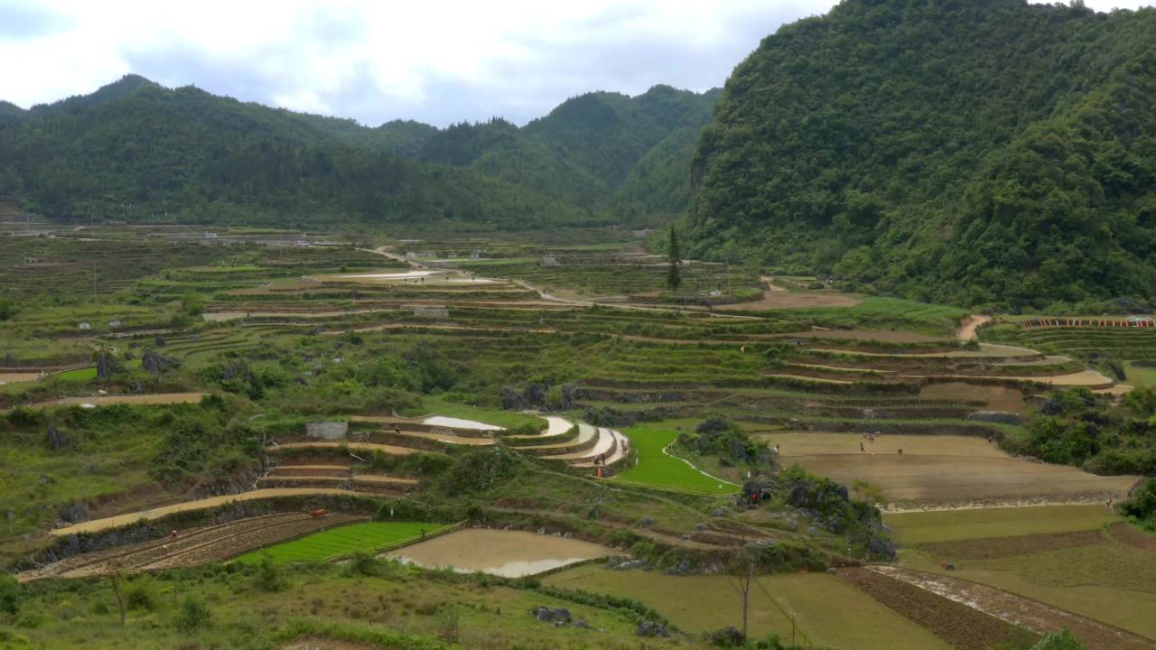 壮丽梯田与山川