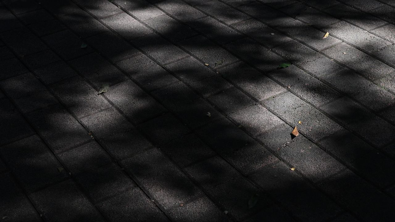 4K地上阳光树影