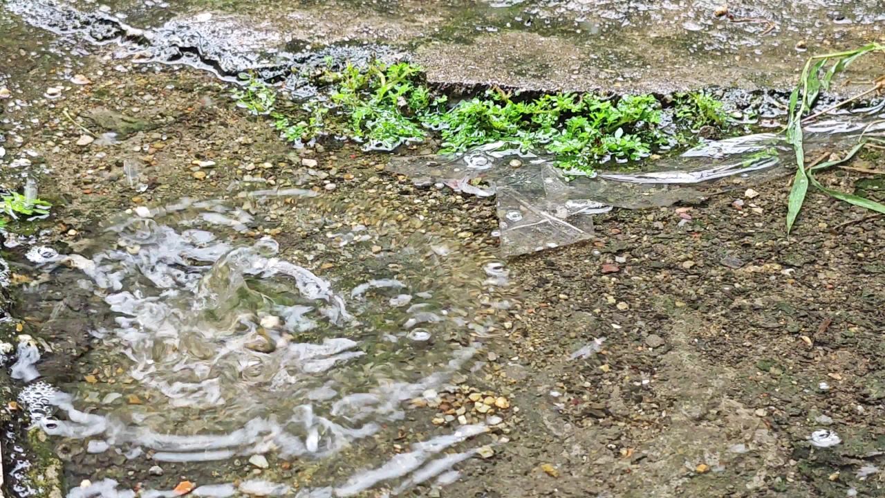 4K楼前雨水水花