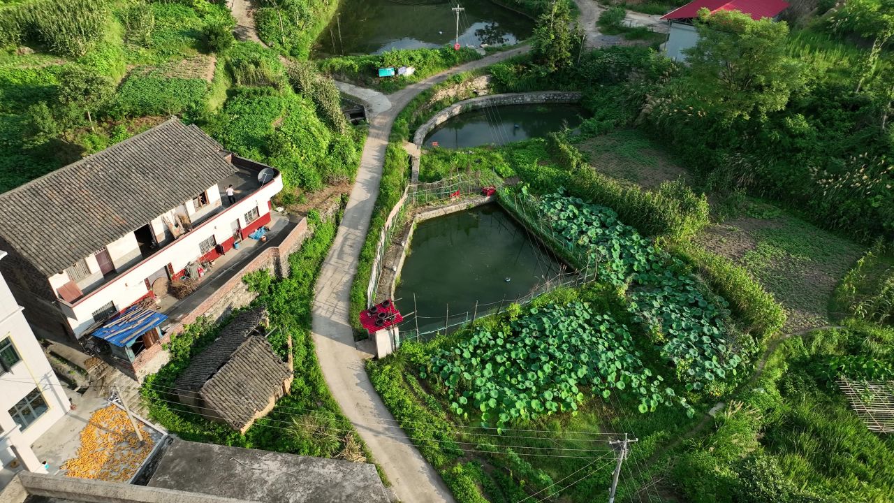 农村 16