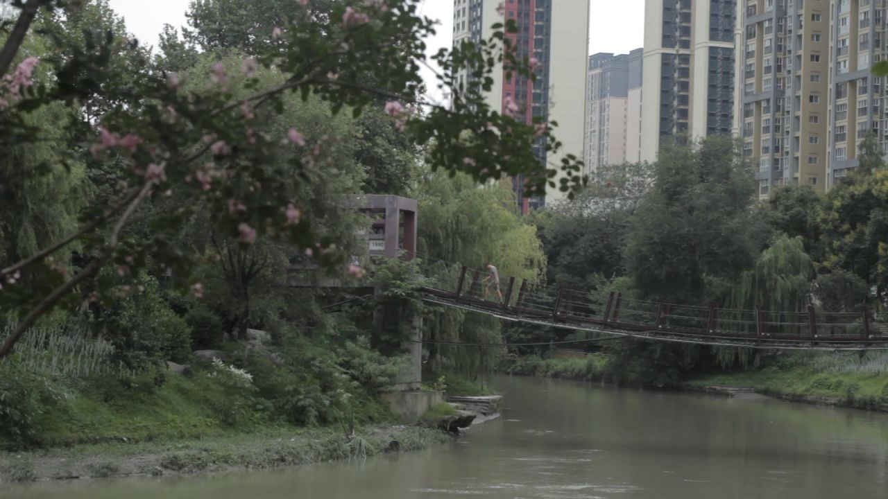 熊猫基地，沙河，锦江339绿道