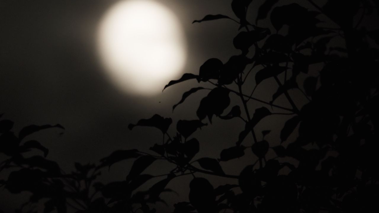 月亮月球夜晚天空皎洁明月长焦特写延时摄影 24