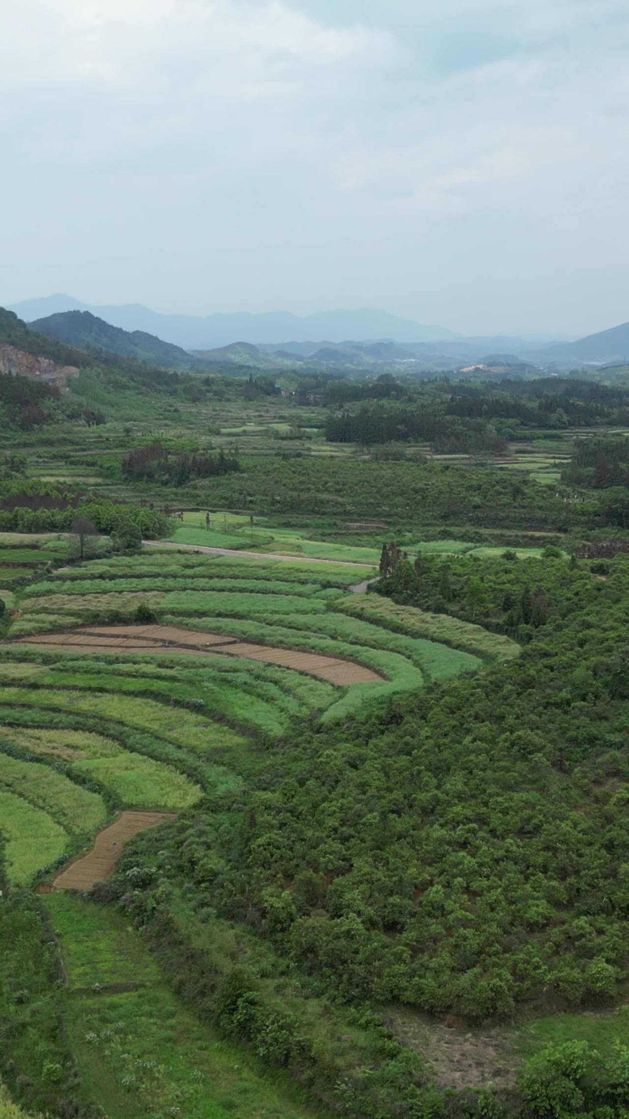 山间梯田风光