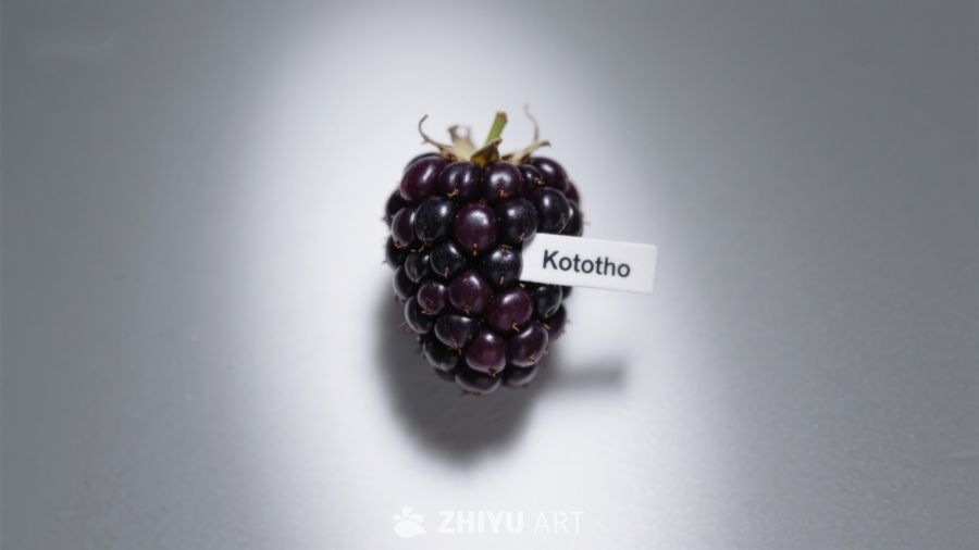 标有“Kototho”的黑莓果实 14